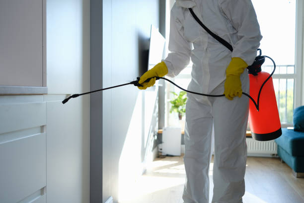 Reliable Fort Ashby, WV Mold Remediation Solutions