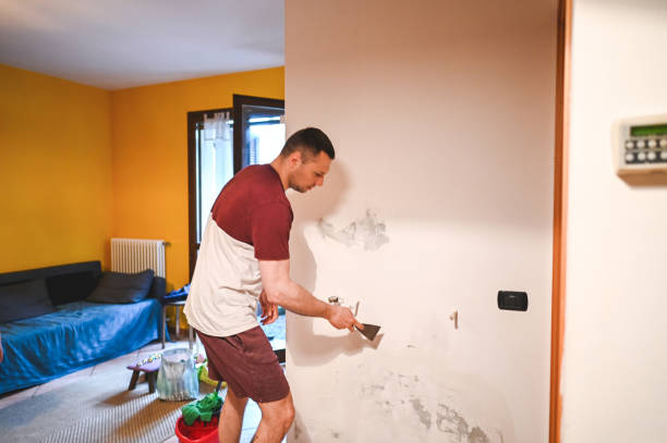Best Mold Testing and Inspection Services in Fort Ashby, WV